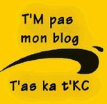 blog