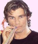 steve hart