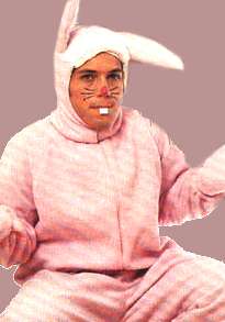 cal rabbit