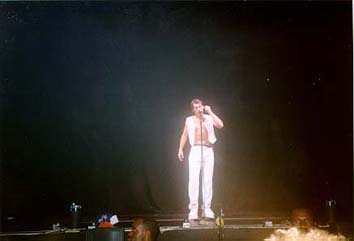 steve ki chante how much to mean to me