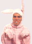 cal rabbit2