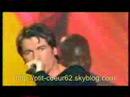steve ds language of love